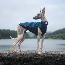 Load image into Gallery viewer, Softshell Storm Jacket in Marine Turquoise