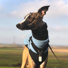 Load image into Gallery viewer, Black Fleece Essential Hound Snood