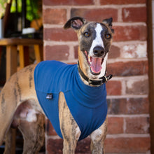 Load image into Gallery viewer, Ocean Blue Cotton Tee