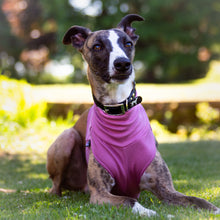 Load image into Gallery viewer, Dusky Rose Cotton Tee