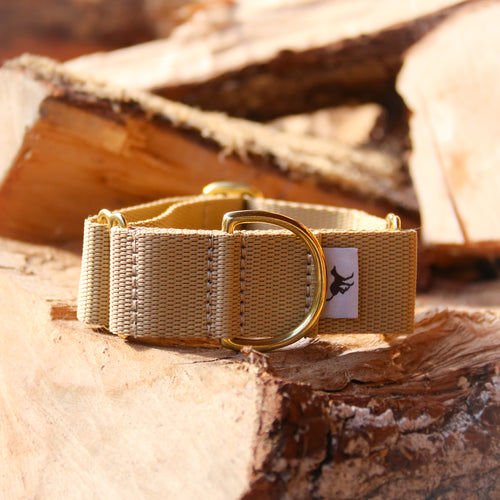 Atacama Martingale in Gold