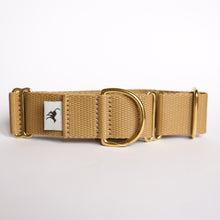 Load image into Gallery viewer, Atacama Martingale in Gold
