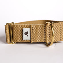 Load image into Gallery viewer, Atacama Martingale in Gold