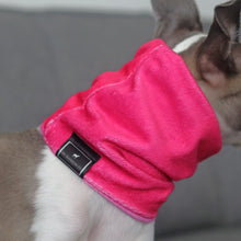 Load image into Gallery viewer, Super-soft Hound Snood in Pink Ombré