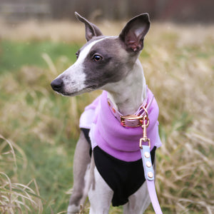 Cosy Hound Fleece in Lilac