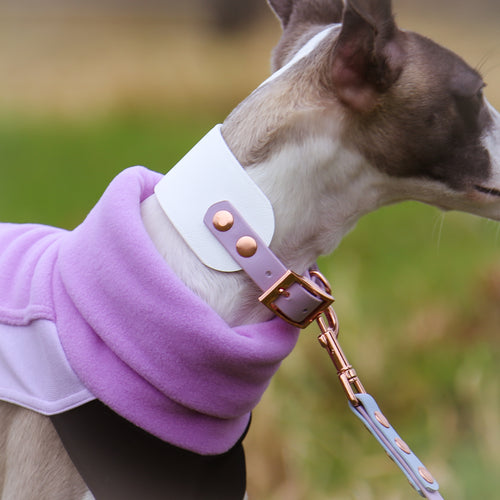 Lilac Lavender Biothane Whippy Collar