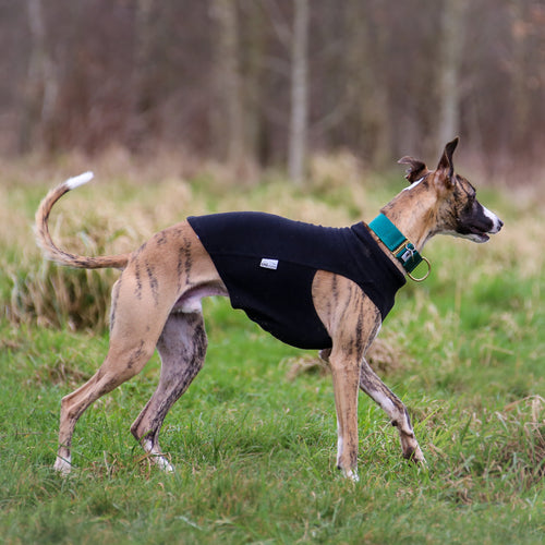 Extra Warm Hound Tee in Black