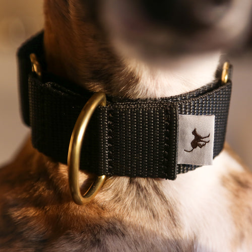 Atacama Martingale in Black