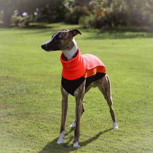 Cosy Hound Fleece in Neon Orange