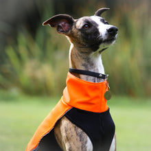 Load image into Gallery viewer, Softshell Storm Jacket in Neon Orange