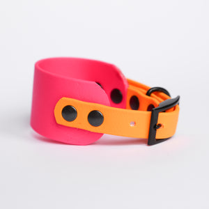 'Tropical' Biothane Iggy Collar