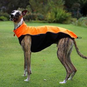 Softshell Storm Jacket in Neon Orange