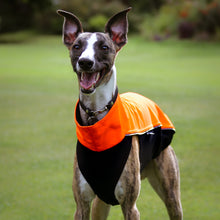 Load image into Gallery viewer, Softshell Storm Jacket in Neon Orange