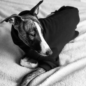Winter Hound Jumper