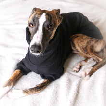 Load image into Gallery viewer, Winter Hound Jumper