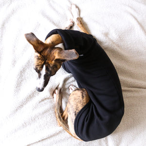 Winter Hound Jumper