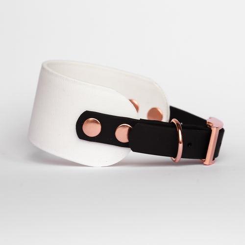 'Senna' Biothane Whippy Collar
