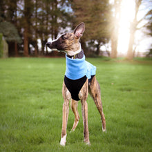 Load image into Gallery viewer, Cosy Hound Fleece in Sky Blue