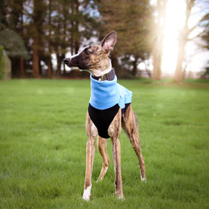 Cosy Hound Fleece in Sky Blue