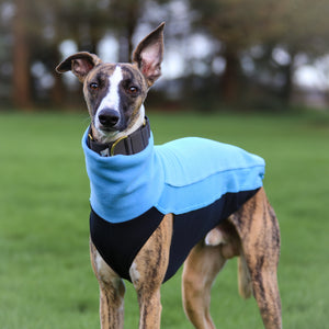 Cosy Hound Fleece in Sky Blue