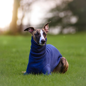 Winter Hound Jumper