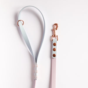 Pastel two-tone Biothane Lead