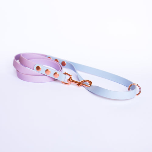 Pastel two-tone Biothane Lead