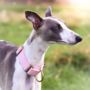 Atacama Martingale in Flamingo