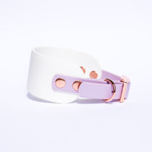 Load image into Gallery viewer, Lilac Lavender Biothane Whippy Collar