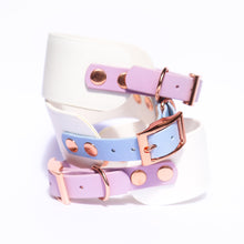 Load image into Gallery viewer, Lilac Lavender Biothane Whippy Collar