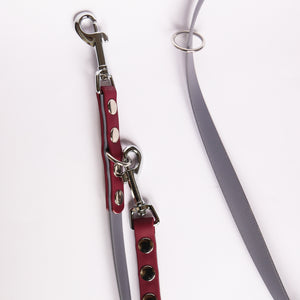 'Silver Dusk' Training Lead