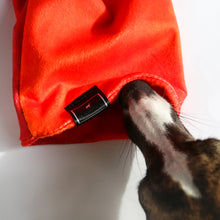 Load image into Gallery viewer, Super-Soft Hound Snood in Autumn Ombré