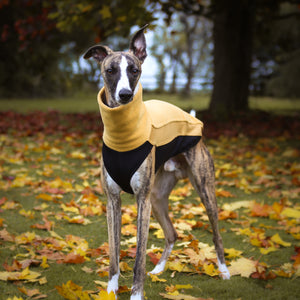 Cosy Hound Fleece in Honey Gold