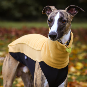 Cosy Hound Fleece in Honey Gold
