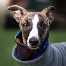 Load image into Gallery viewer, &#39;Sirius&#39; Hound Snood