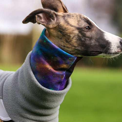 'Sirius' Hound Snood