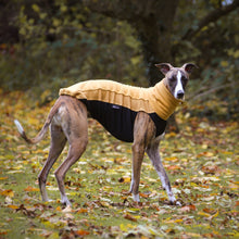 Load image into Gallery viewer, Cosy Hound Fleece in Honey Gold