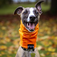 Load image into Gallery viewer, Super-Soft Hound Snood in Autumn Ombré
