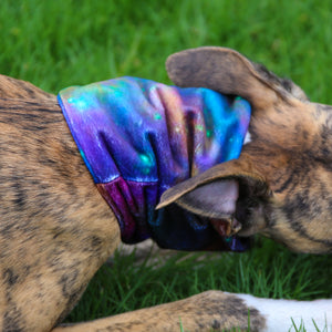 'Sirius' Hound Snood