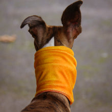 Load image into Gallery viewer, Super-Soft Hound Snood in Autumn Ombré