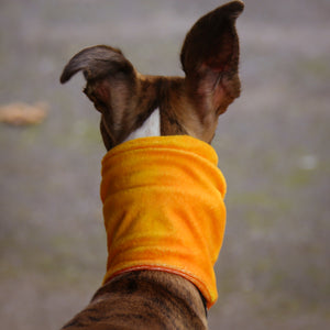 Super-Soft Hound Snood in Autumn Ombré