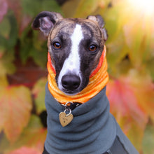Load image into Gallery viewer, Super-Soft Hound Snood in Autumn Ombré