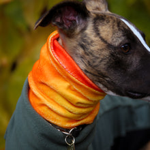 Load image into Gallery viewer, Super-Soft Hound Snood in Autumn Ombré