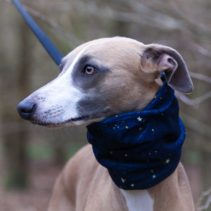 'Spaced Out' Hound Snood