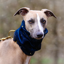 Load image into Gallery viewer, &#39;Spaced Out&#39; Hound Snood