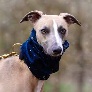 'Spaced Out' Hound Snood