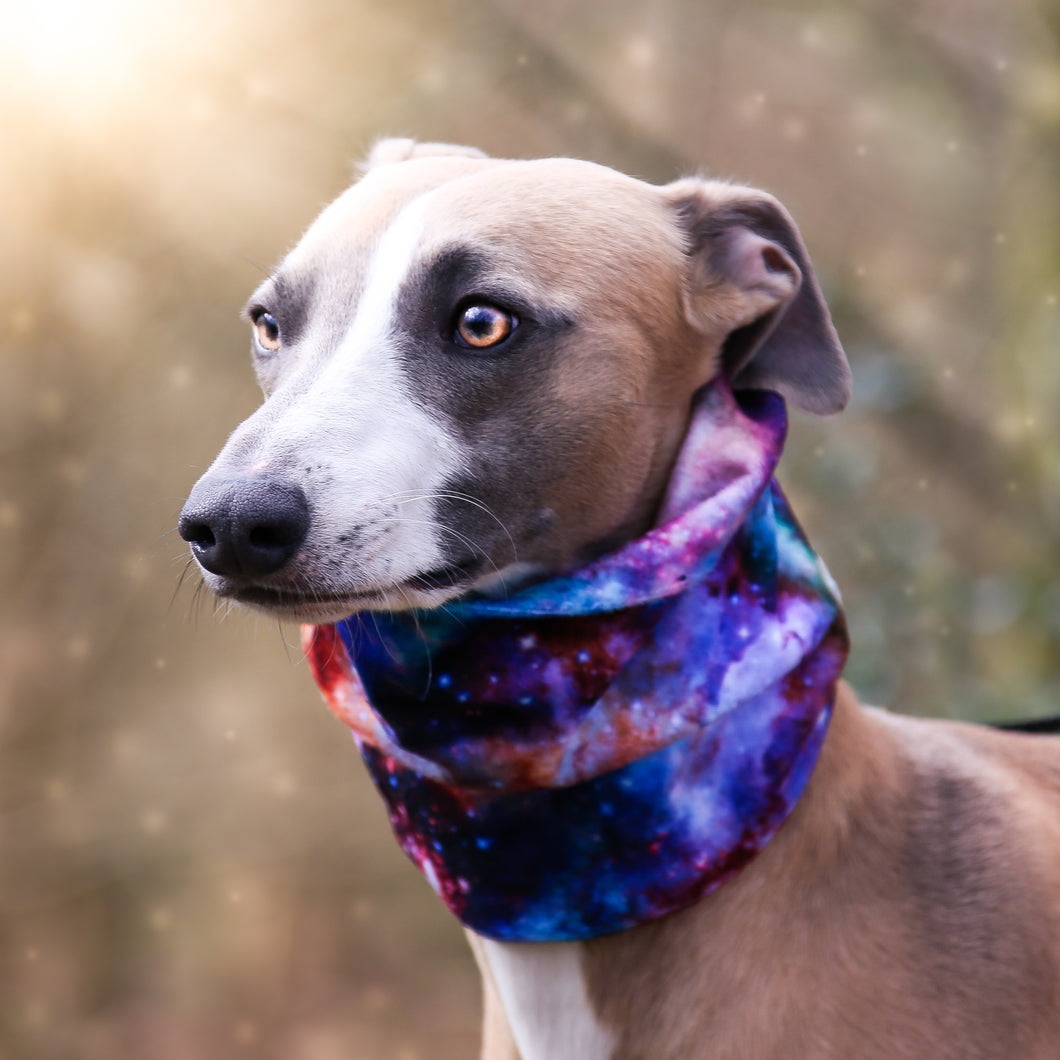 'Orion' Hound Snood