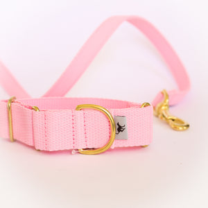 Atacama Martingale in Flamingo