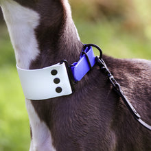 Load image into Gallery viewer, &#39;Sea Foam&#39; Hound Collar