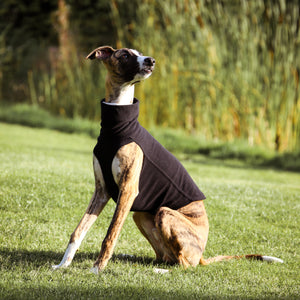 Extra Warm Hound Tee in Black